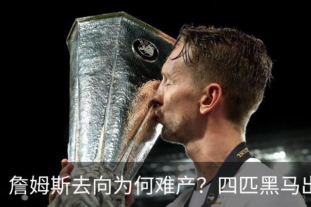 詹姆斯去向为何难产？四匹黑马出现加剧混乱